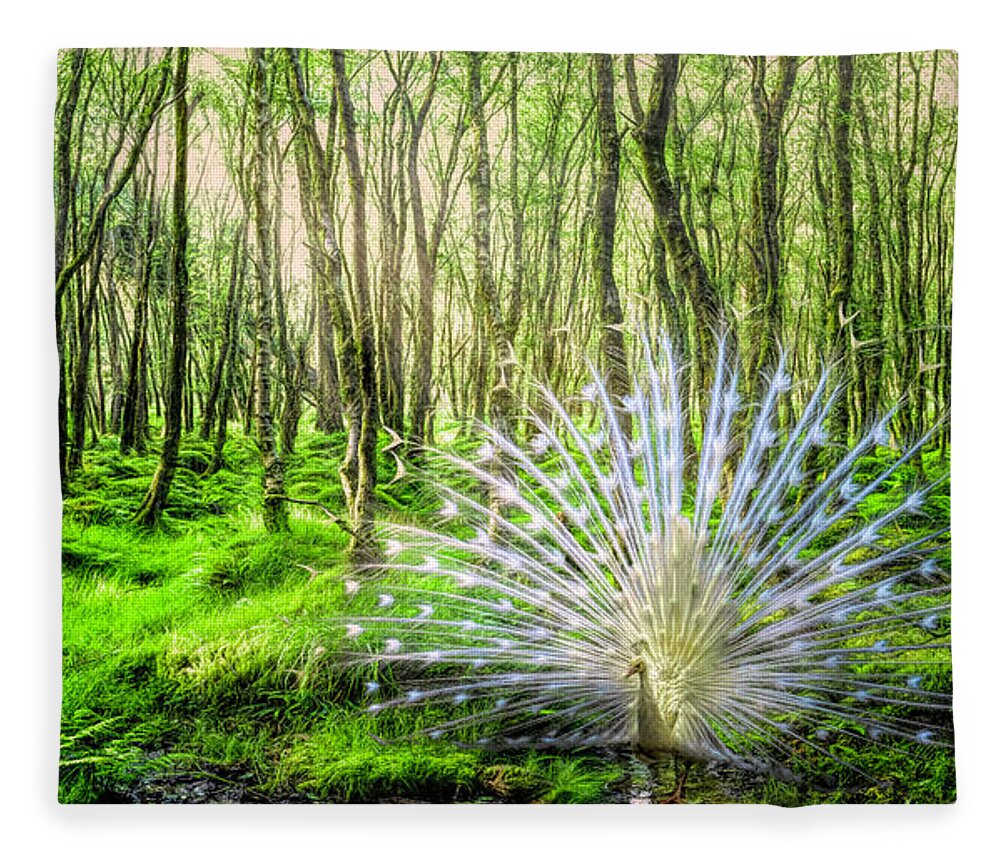 Mountains Fleece Blanket featuring the photograph White Peacock in the Beauty of the Forest by Debra and Dave Vanderlaan