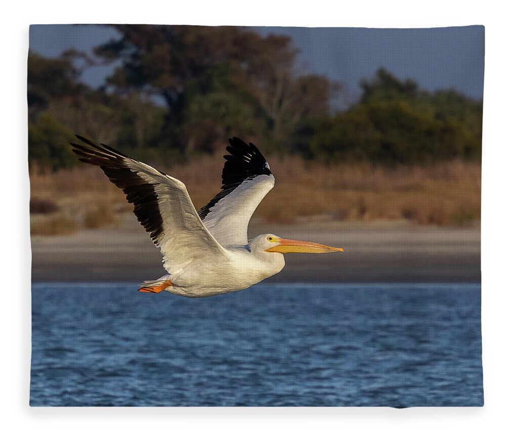 American White Pelican Fleece Blanket featuring the photograph White Pelican in Flight by Patricia Schaefer