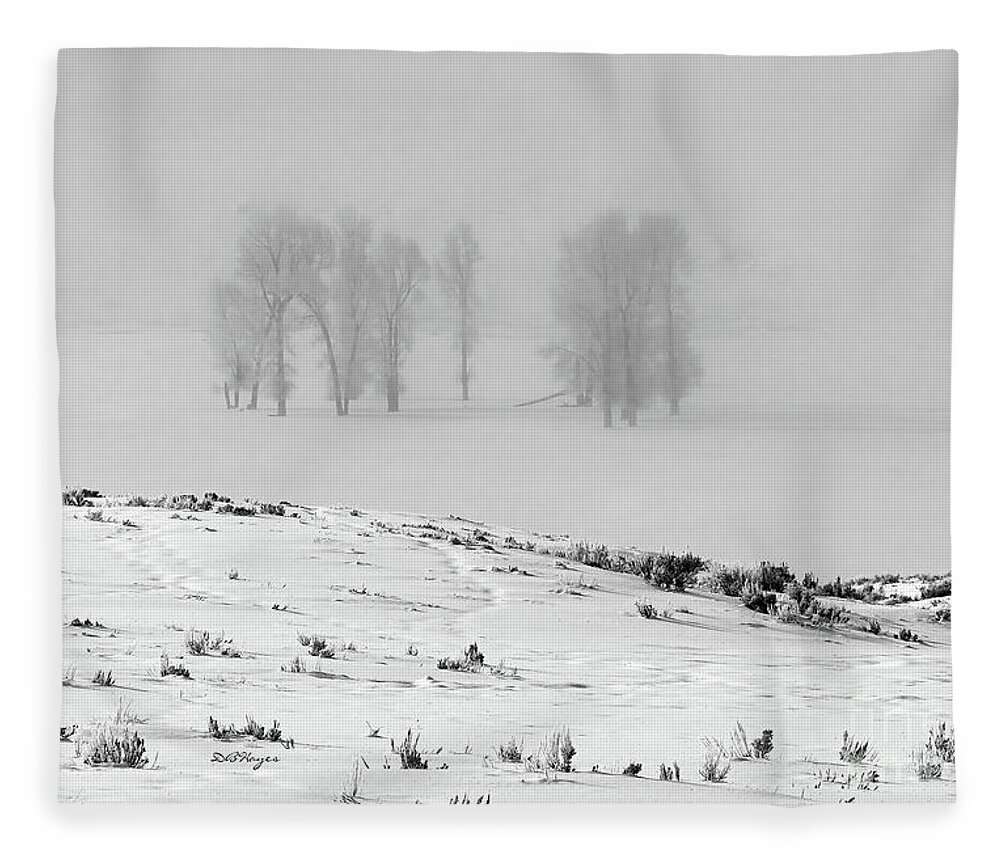 Nature Fleece Blanket featuring the photograph Whiteout by DB Hayes