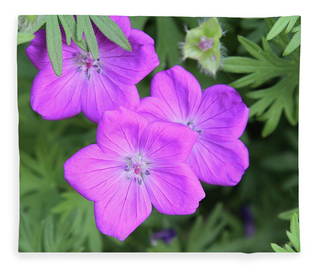 Flowers Fleece Blanket featuring the photograph Wild Geraniums by Bob Falcone