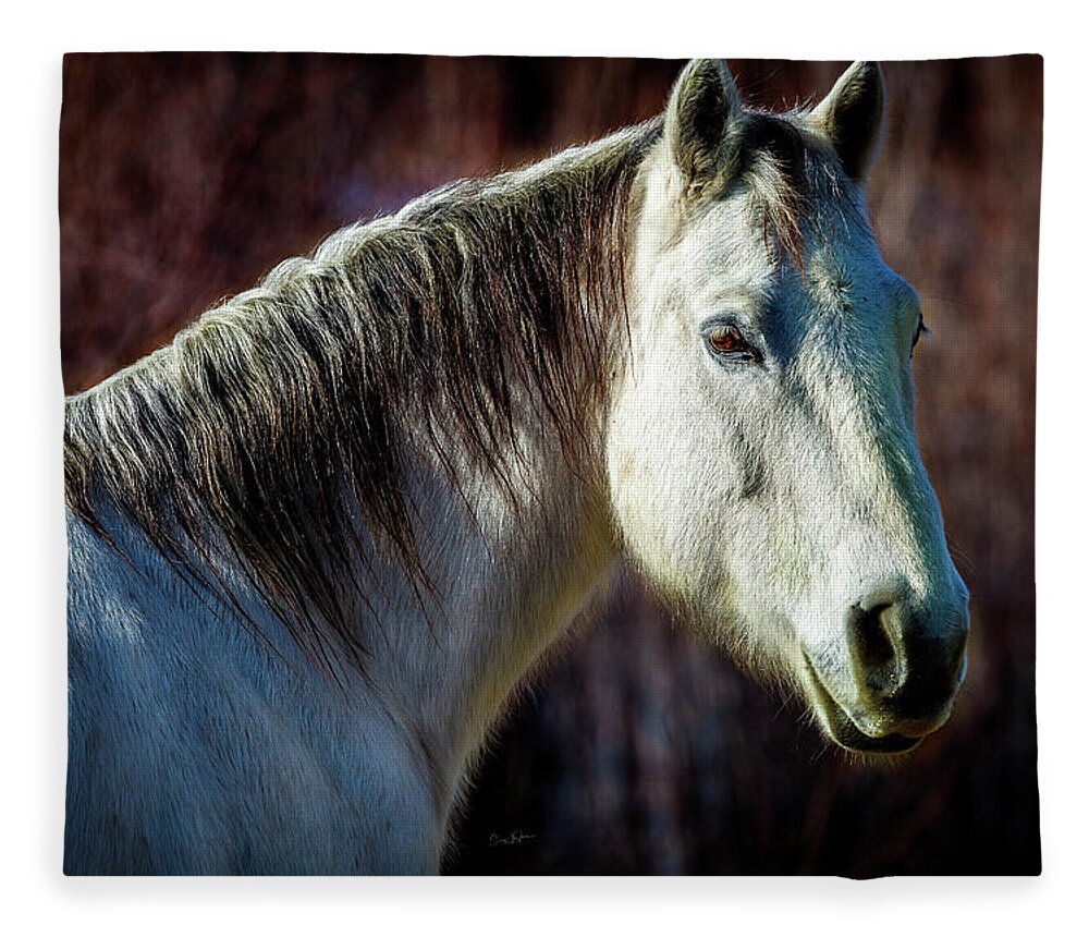 Horse Fleece Blanket featuring the photograph Wild Horse No. 1 by Craig J Satterlee