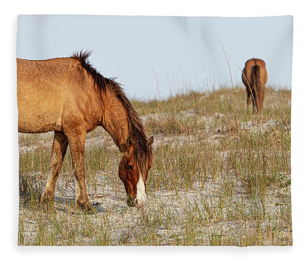 Wild Horses Fleece Blanket featuring the photograph Wild Horses of the Southern Outer Banks of North Carolina by Bob Decker
