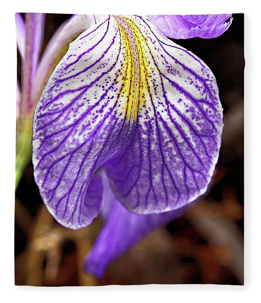 Flower Fleece Blanket featuring the photograph Wild Iris Petal by Bob Falcone