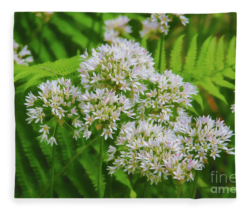 Ferns Fleece Blanket featuring the photograph Wildflowers and Ferns by Diana Mary Sharpton