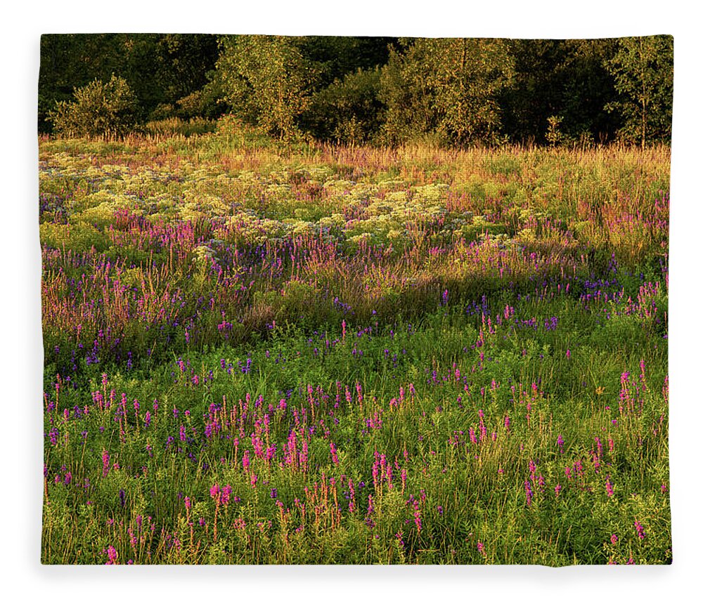 Wildflowers Fleece Blanket featuring the photograph Wildflowers by Rod Best