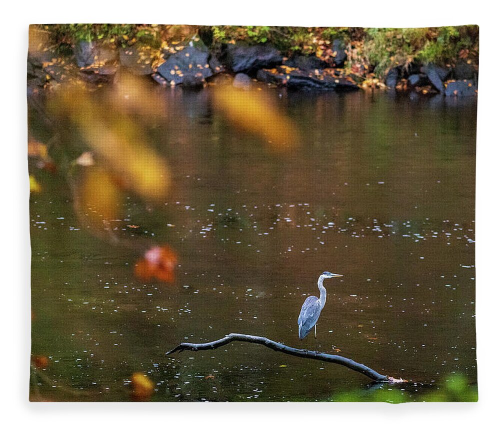 Nature Photography Fleece Blanket featuring the photograph Wildlife Photography - Blue Heron Birds by Amelia Pearn