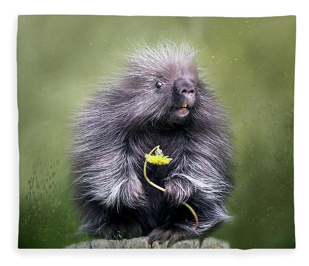 Porcupine Fleece Blanket featuring the digital art Will You Be Mine? by Nicole Wilde