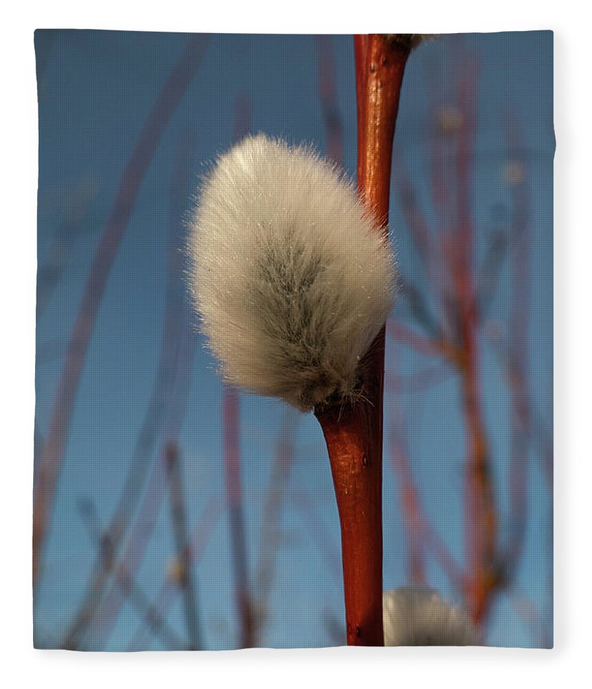 Spring Fleece Blanket featuring the photograph Willow Catkin by Karen Rispin