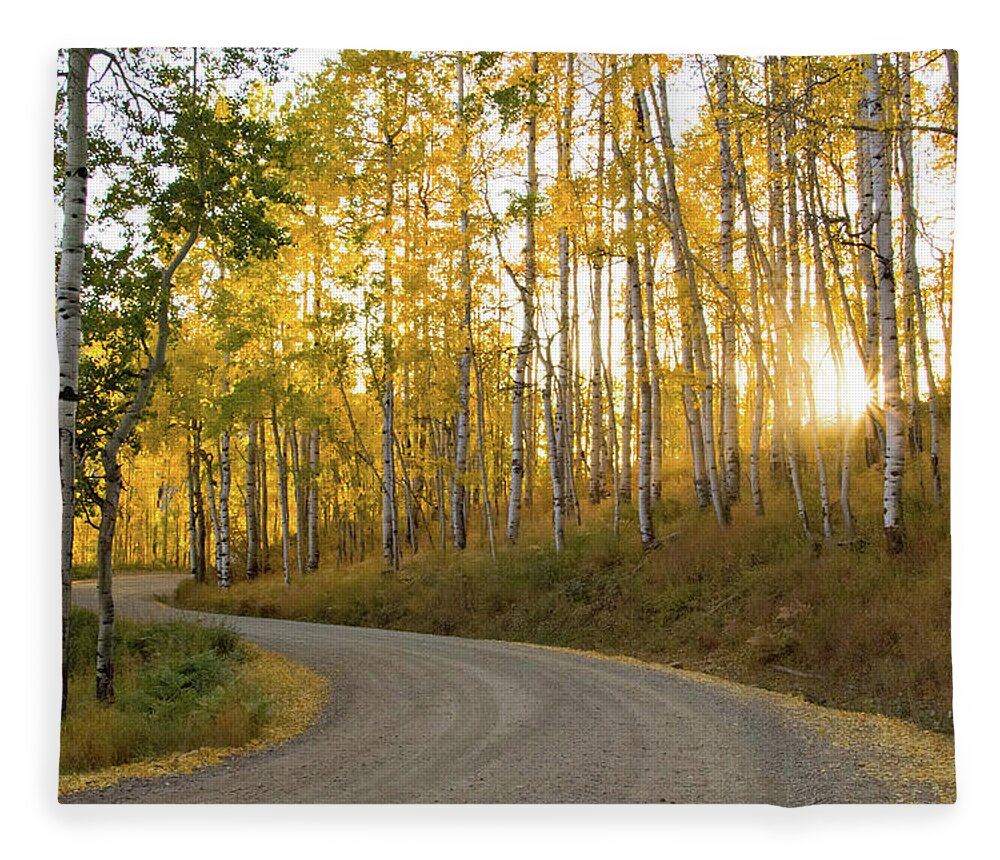 Colorado Fleece Blanket featuring the photograph Winding Road by Wesley Aston