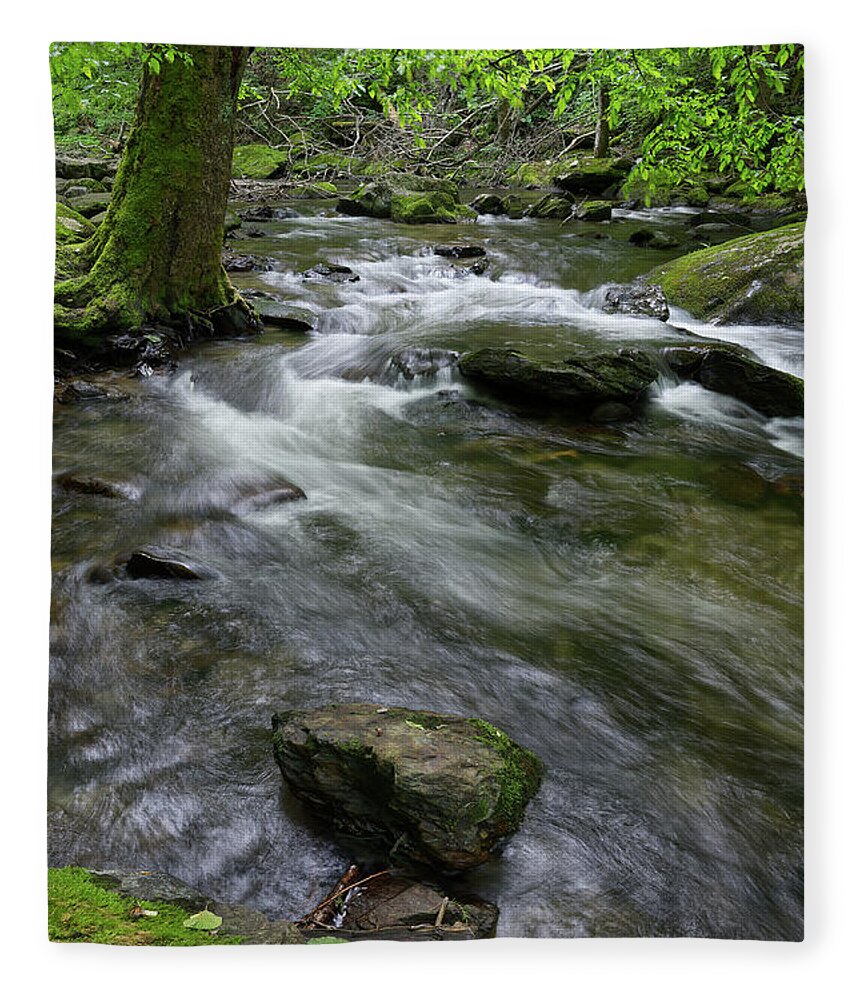 Nature Fleece Blanket featuring the photograph Winding Waters by Phil Perkins