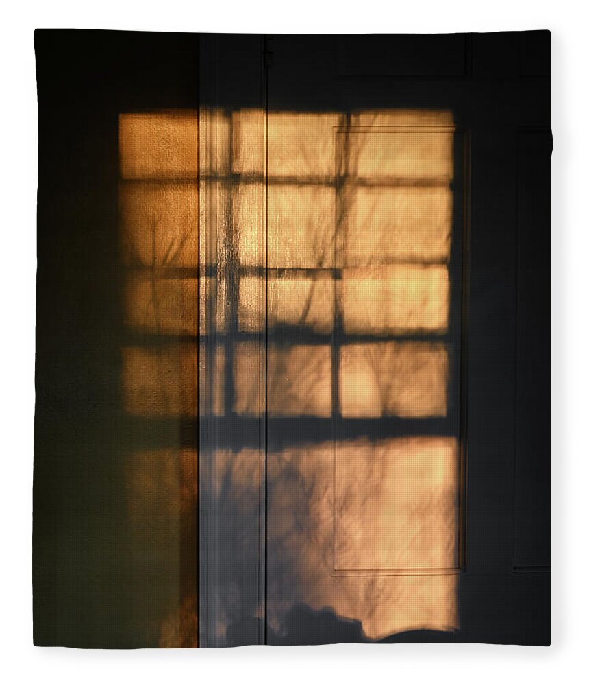 Sunlight Fleece Blanket featuring the photograph Window Obscura by Steven Nelson
