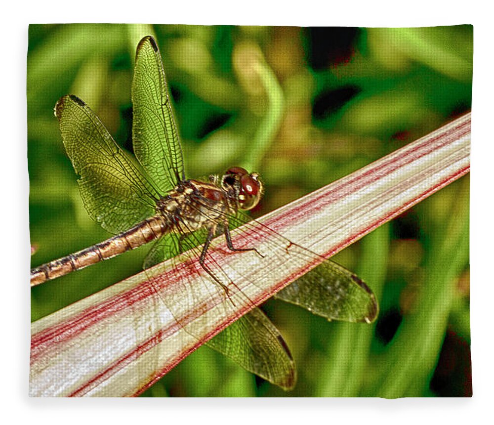 Dragonfly Fleece Blanket featuring the photograph Winged Dragon by Bill Barber