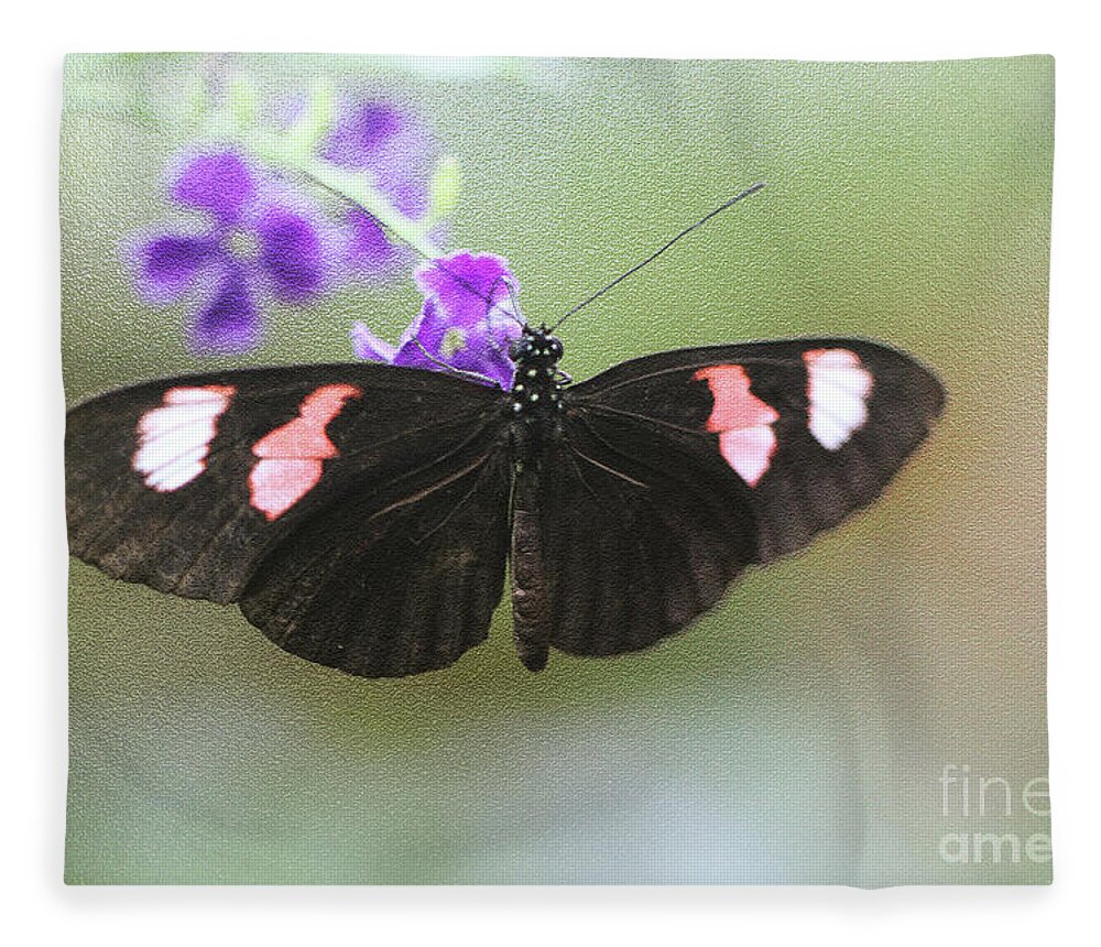 Butterfly; Black Butterfly; Black; Green; Leaves; Purple Flowers; Flowers; Wings; Purple; Red Fleece Blanket featuring the photograph Wingspan by Tina Uihlein
