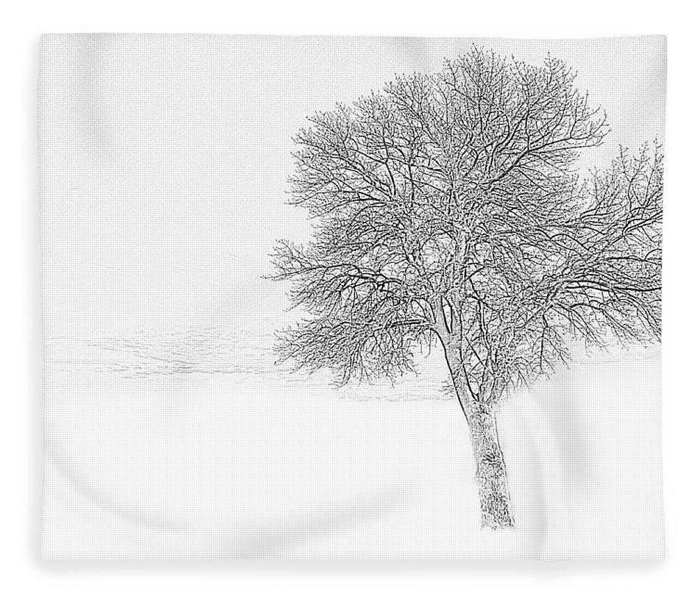 #imagelys #all_imagelys #imagelysstudio #imagelyspicturelab #imagelyspicturestyles #topazlabs Fleece Blanket featuring the photograph Winter 1 by Jean Bernard Roussilhe