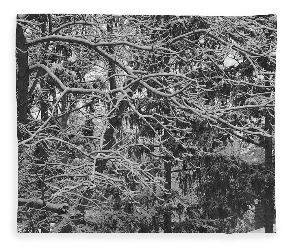 Winter Fleece Blanket featuring the photograph Winter 3 by Jeffrey Peterson