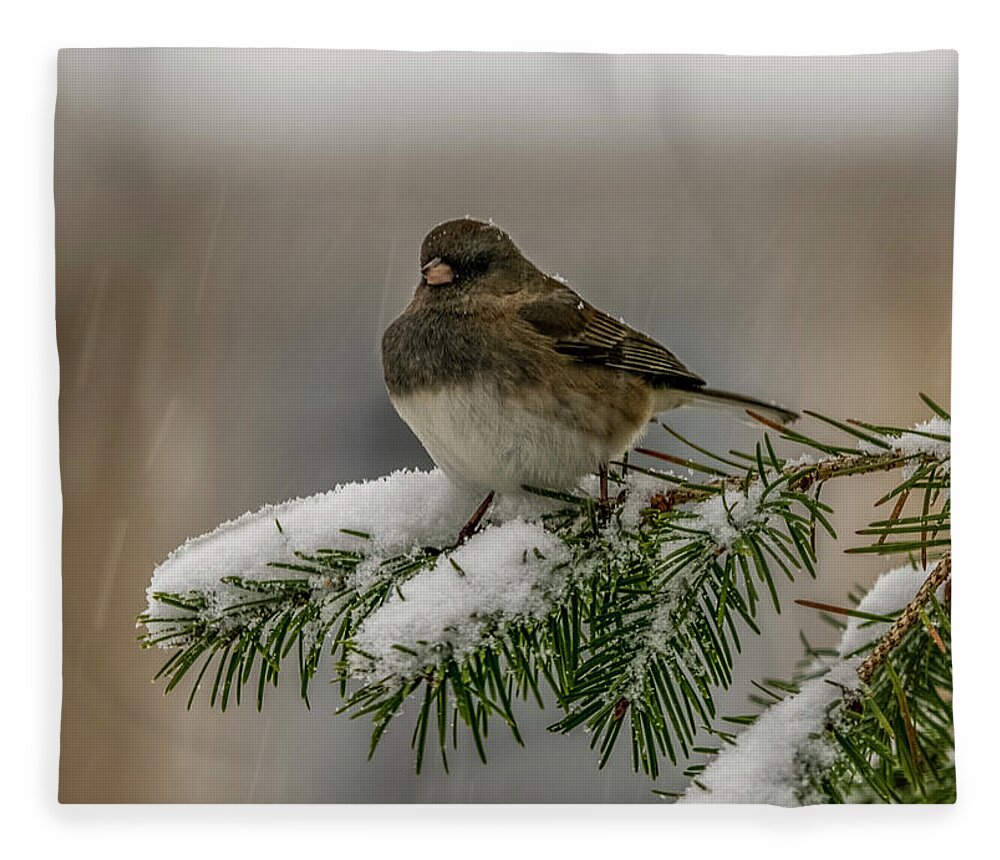 Songbird Fleece Blanket featuring the photograph Winter Bird by Cathy Kovarik