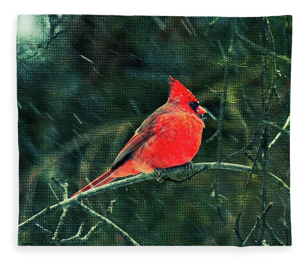 Cardinal Fleece Blanket featuring the photograph Winter Cardinal Songbird - Enhanced by Carol Senske