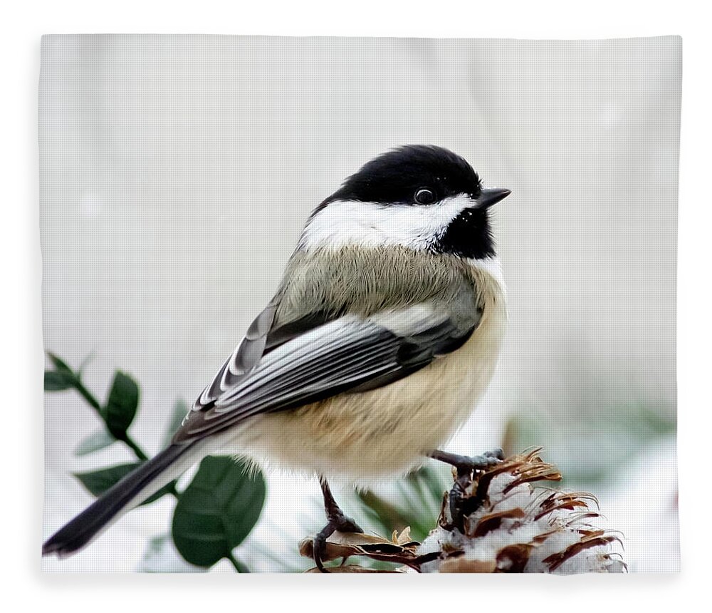 Winter Fleece Blanket featuring the photograph Winter Chickadee Square by Christina Rollo