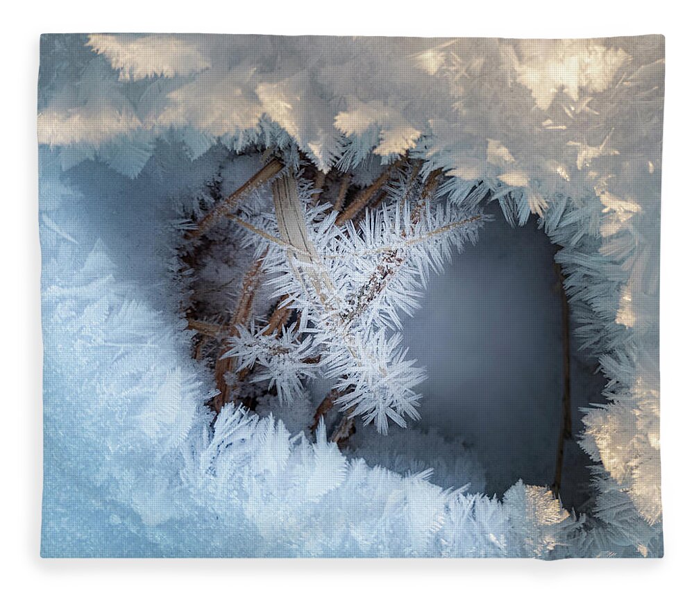 Winter Fleece Blanket featuring the photograph Winter Eye Pattern by Karen Rispin