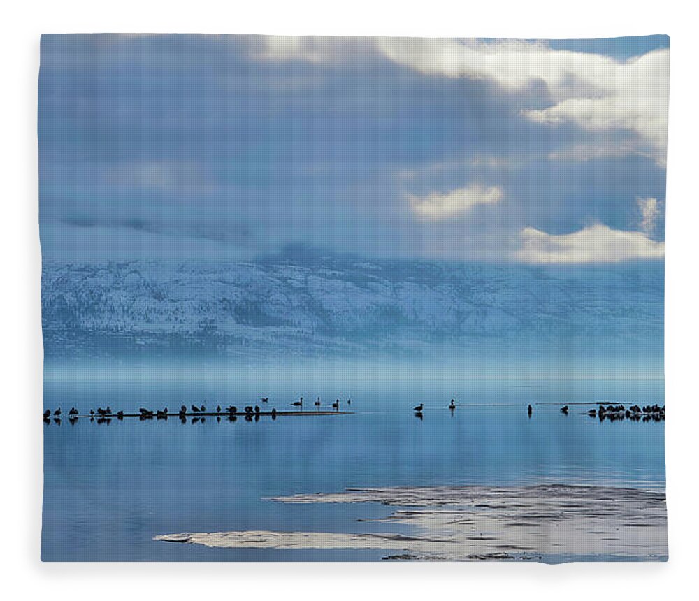 Landscape Fleece Blanket featuring the photograph Winter Gulls and Swans Wide by Allan Van Gasbeck