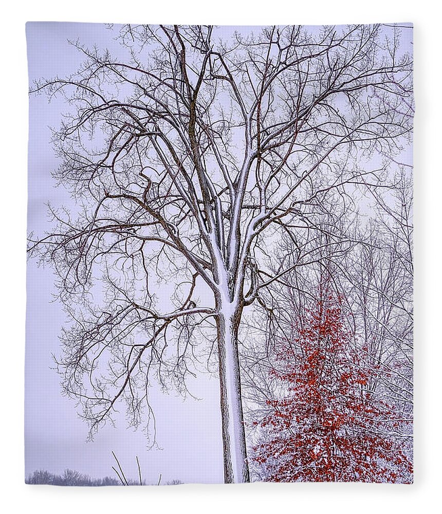 White Fleece Blanket featuring the photograph Winter, i don't wanna a lose red by Carl Marceau