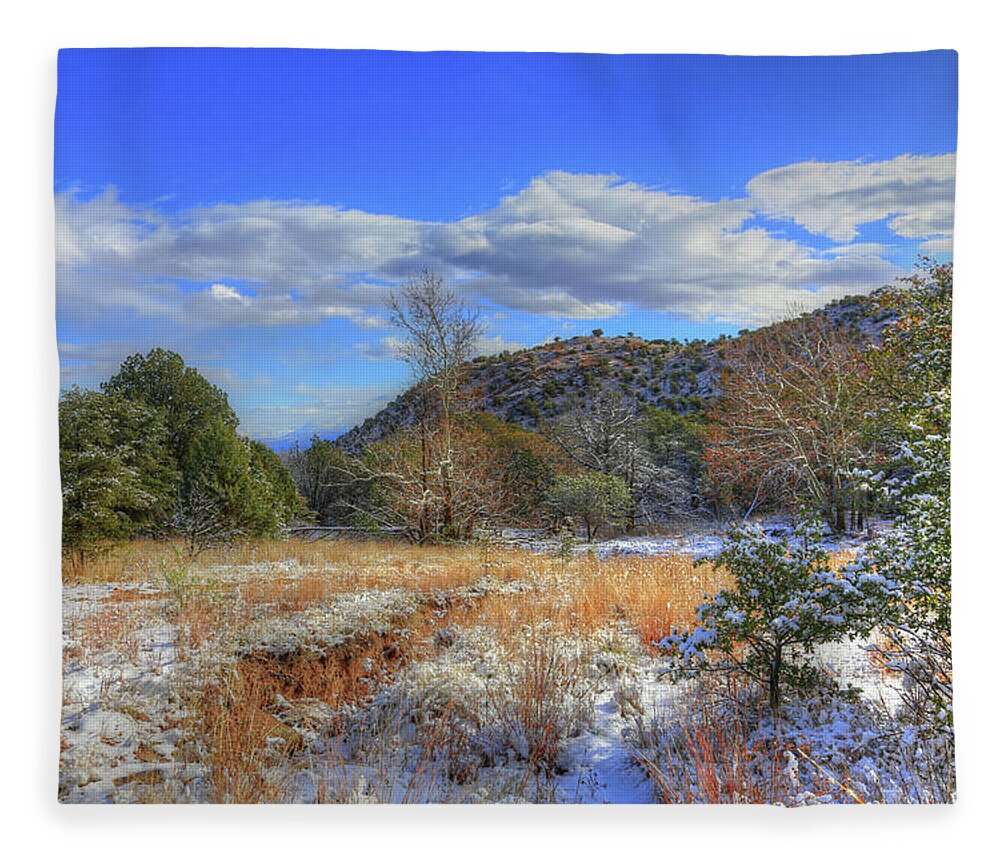 Miller Canyon Fleece Blanket featuring the photograph Winter in the Huachuca Mountains by Robert Harris