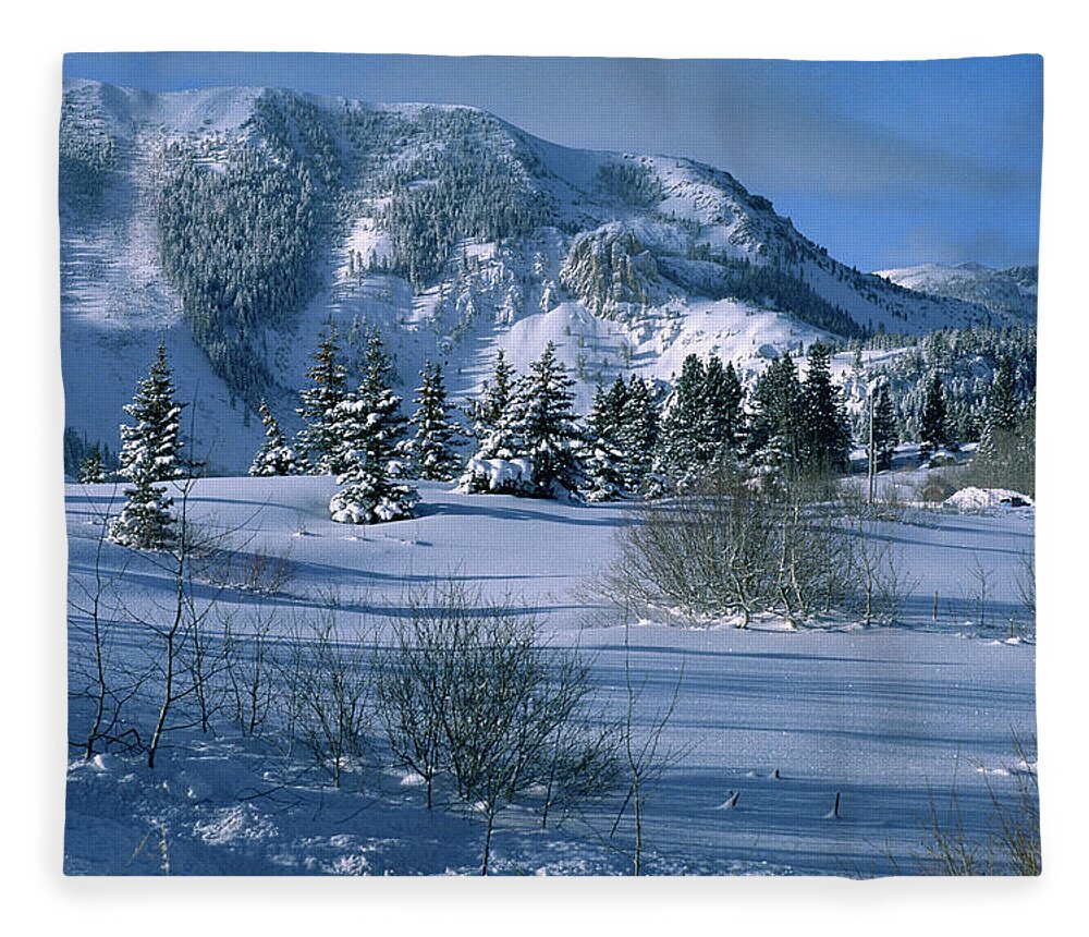 Winter Fleece Blanket featuring the photograph A Winter Meadow Morning - Mammoth Rock - Mammoth Lakes by Bonnie Colgan