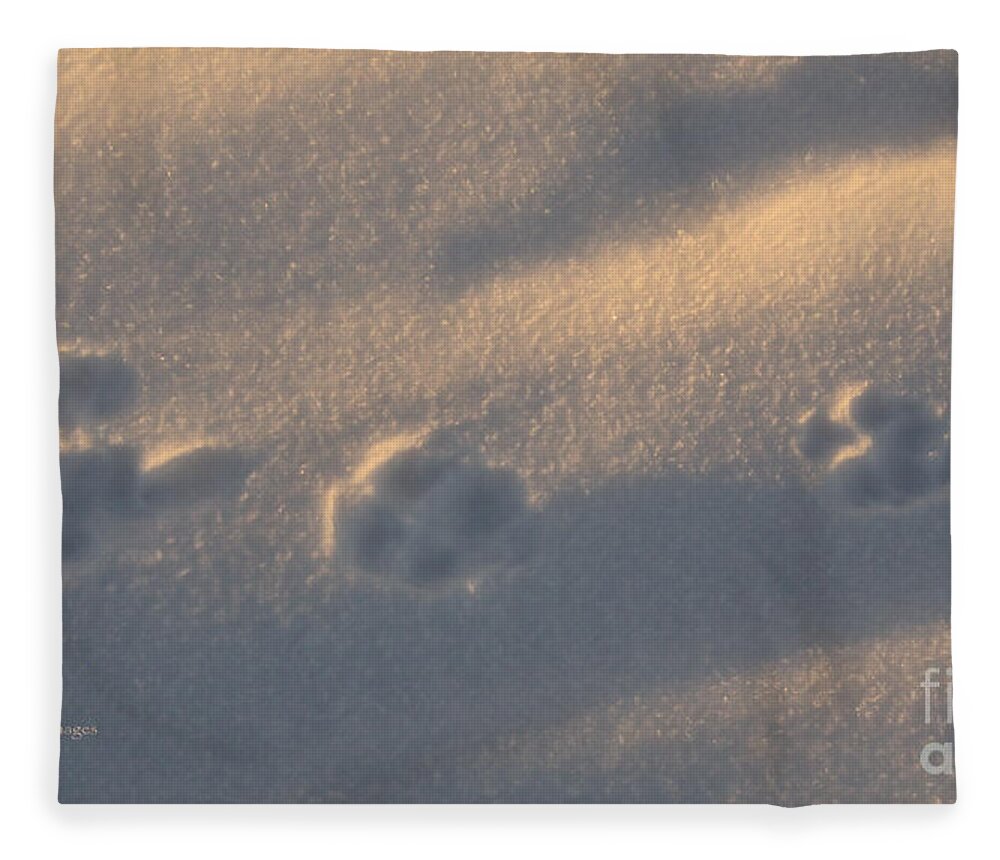 Snow Fleece Blanket featuring the photograph Winter Morning Tracks by Kae Cheatham