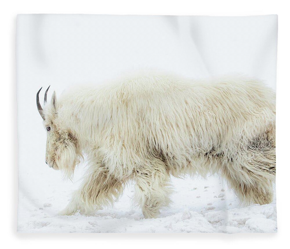 Mountain Goat Fleece Blanket featuring the photograph Winter Mountain Goat by Wesley Aston