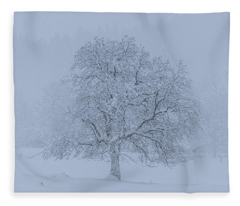 Winter Fleece Blanket featuring the photograph Winter Oak by Randy Robbins