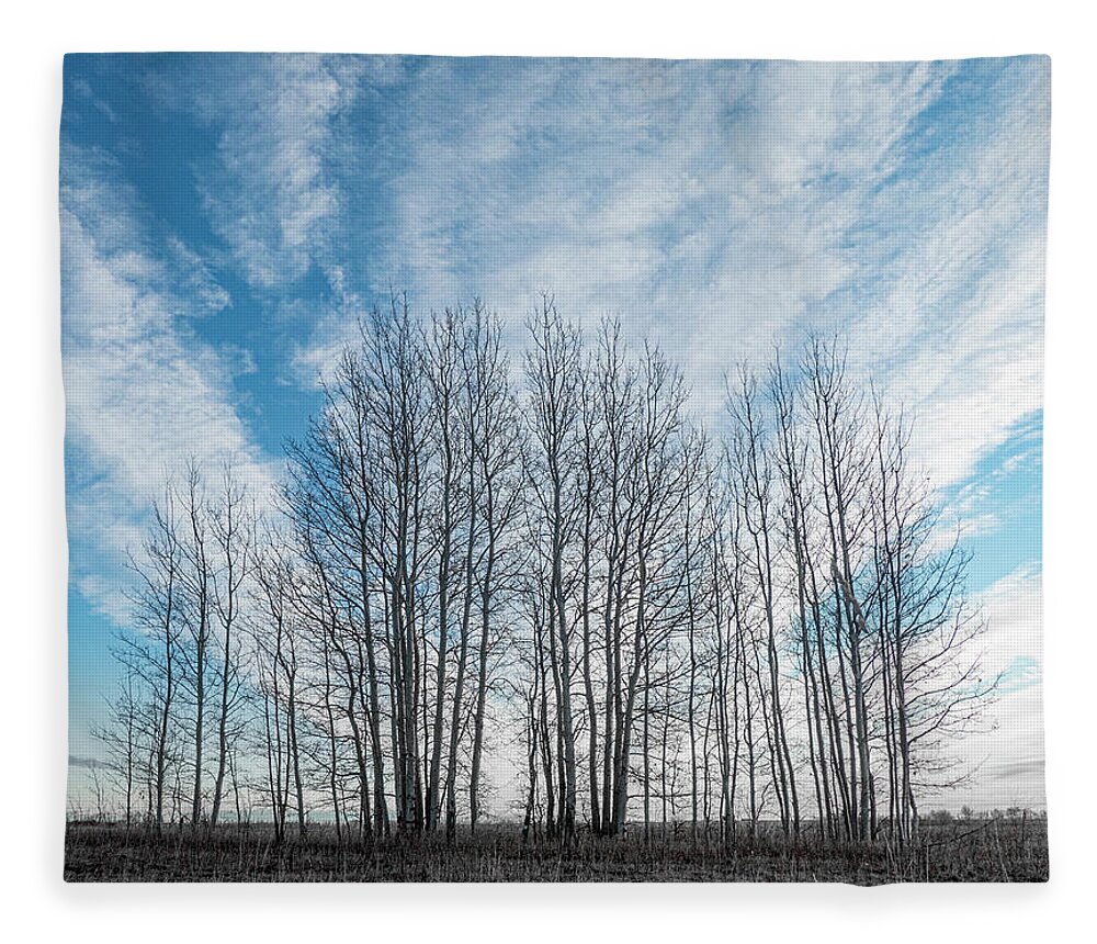 Sky Fleece Blanket featuring the photograph Winter poplar bluff and sky by Karen Rispin