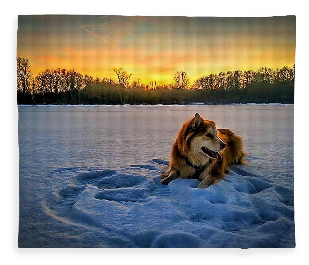  Fleece Blanket featuring the photograph Winter Sunset by Brad Nellis