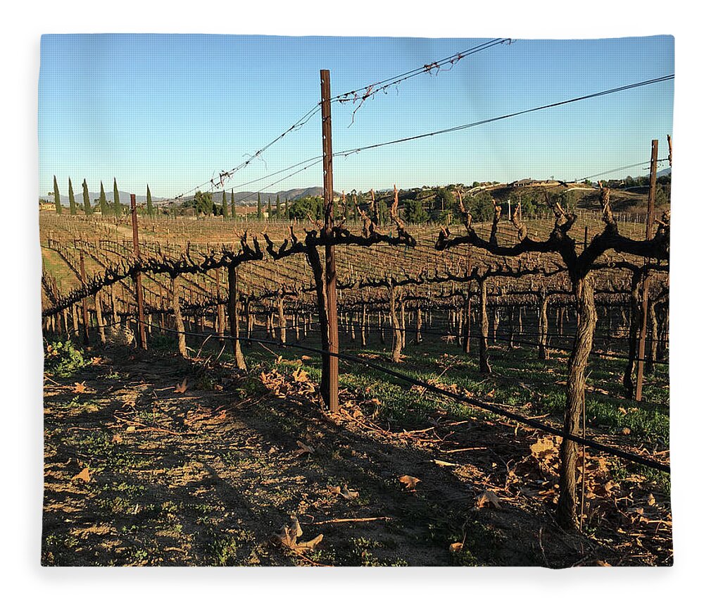 Winter Fleece Blanket featuring the photograph Winter Vines Hart Winery Temecula by Roxy Rich