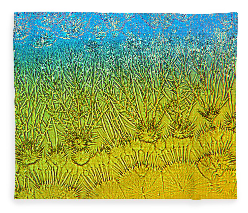  Fleece Blanket featuring the photograph Winter Weeds 2 by Rein Nomm