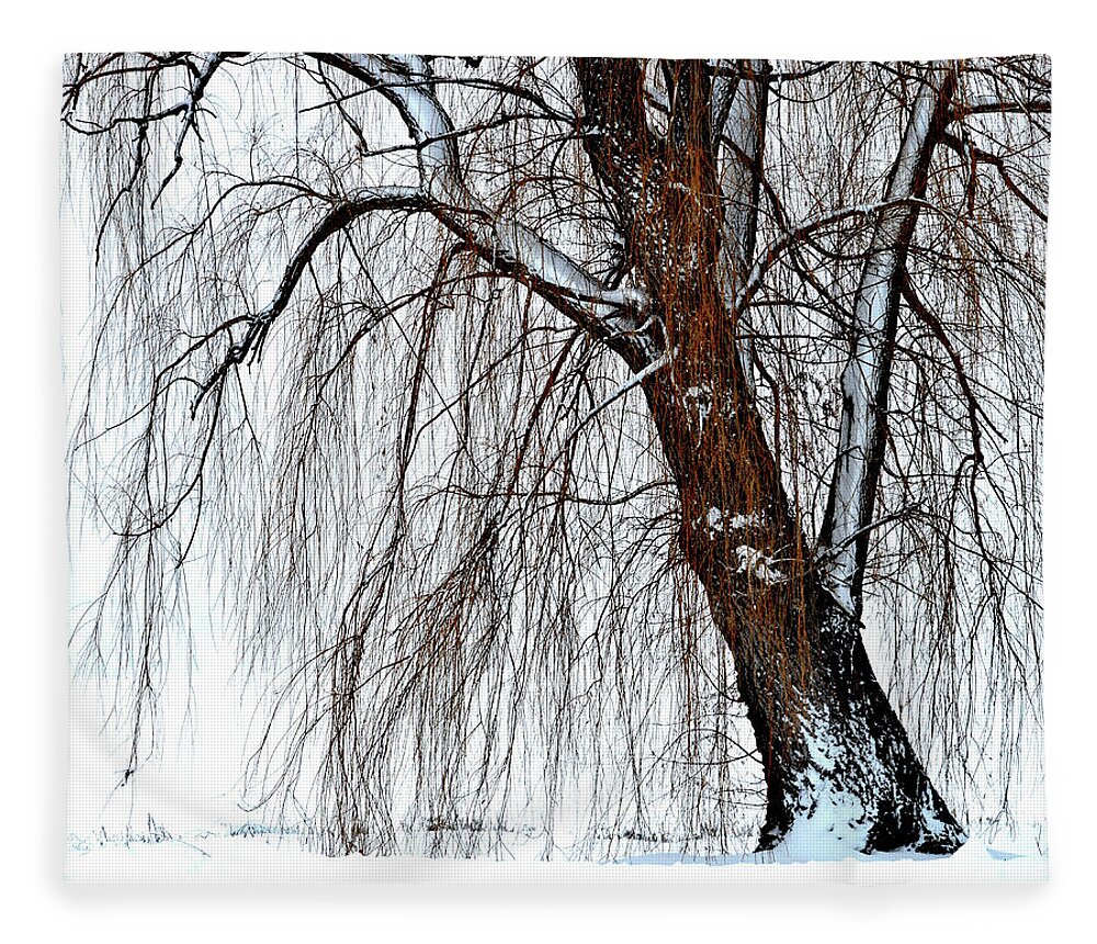 Willow Tree Fleece Blanket featuring the photograph Winter Willow by Susie Loechler
