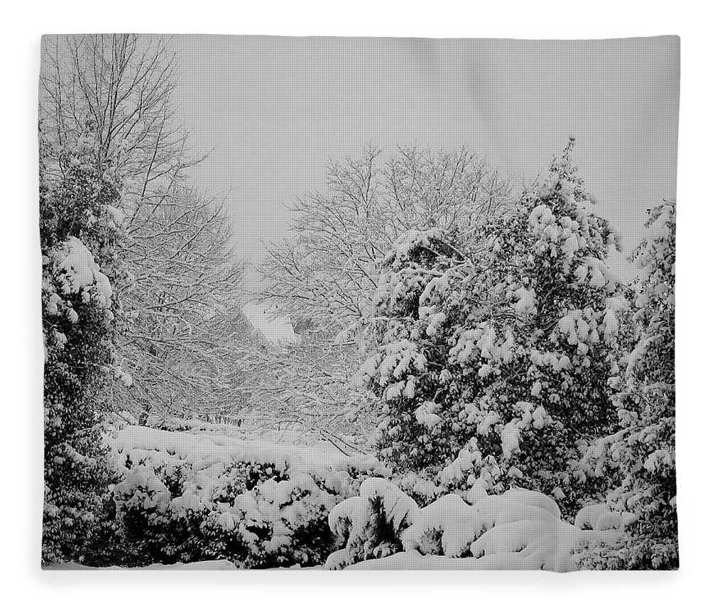Landscape Fleece Blanket featuring the photograph Winter Wonderland by Carol Whaley Addassi