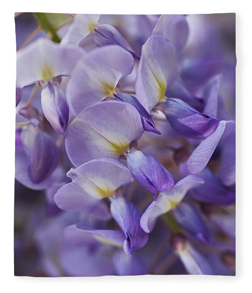Acanthaceae Fleece Blanket featuring the photograph Wisteria Romance by Joy Watson