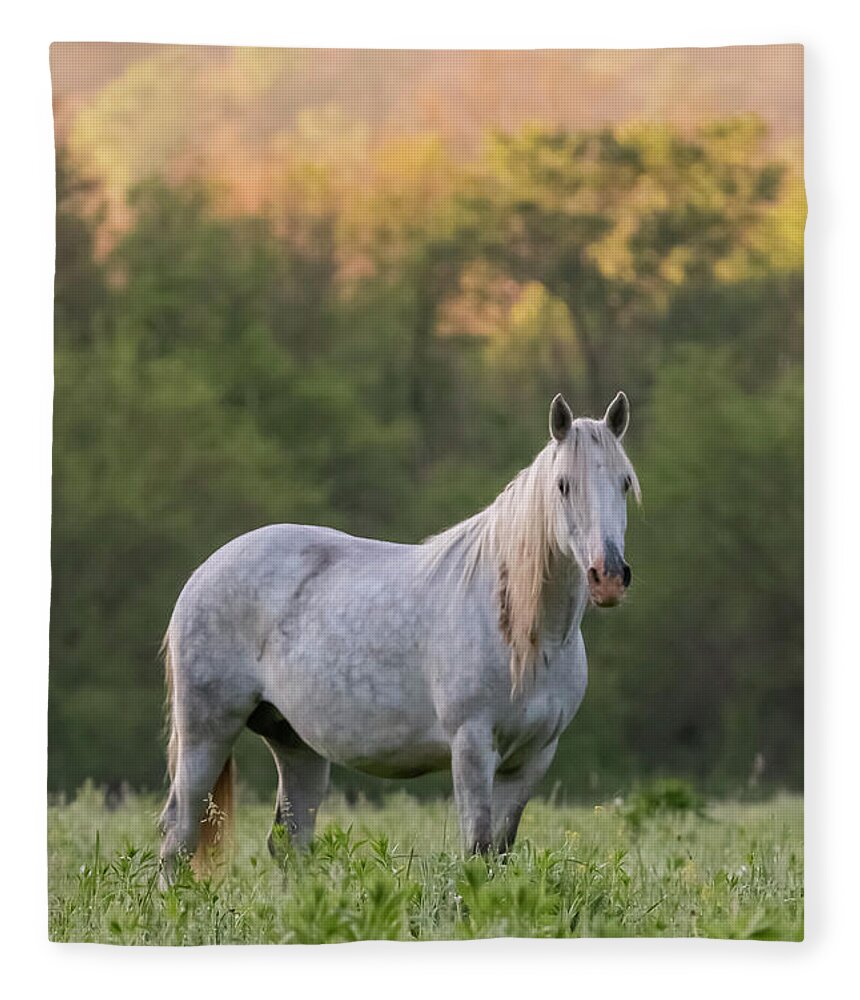 Wild Horse Fleece Blanket featuring the photograph With the Spirit of the Wild by Holly Ross