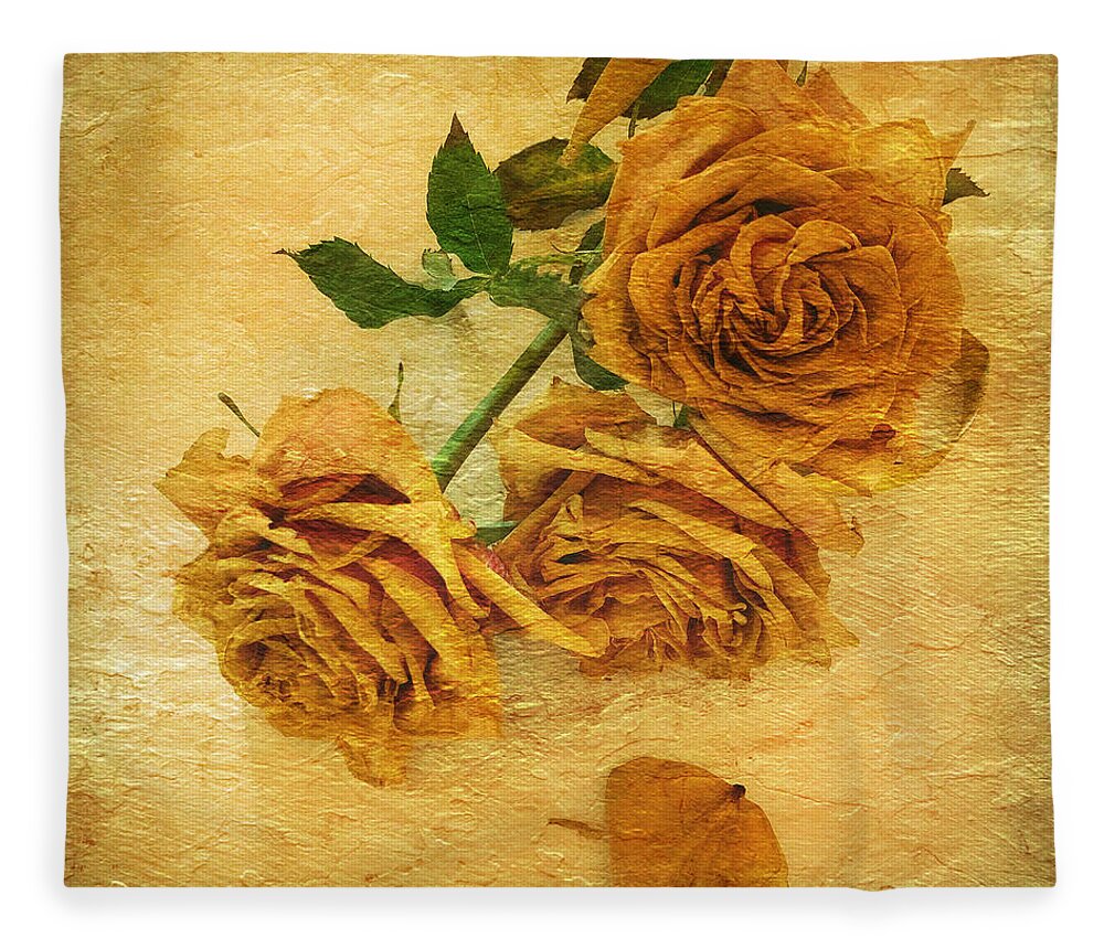 Flowers Fleece Blanket featuring the photograph Withering Roses by Barbara Zahno