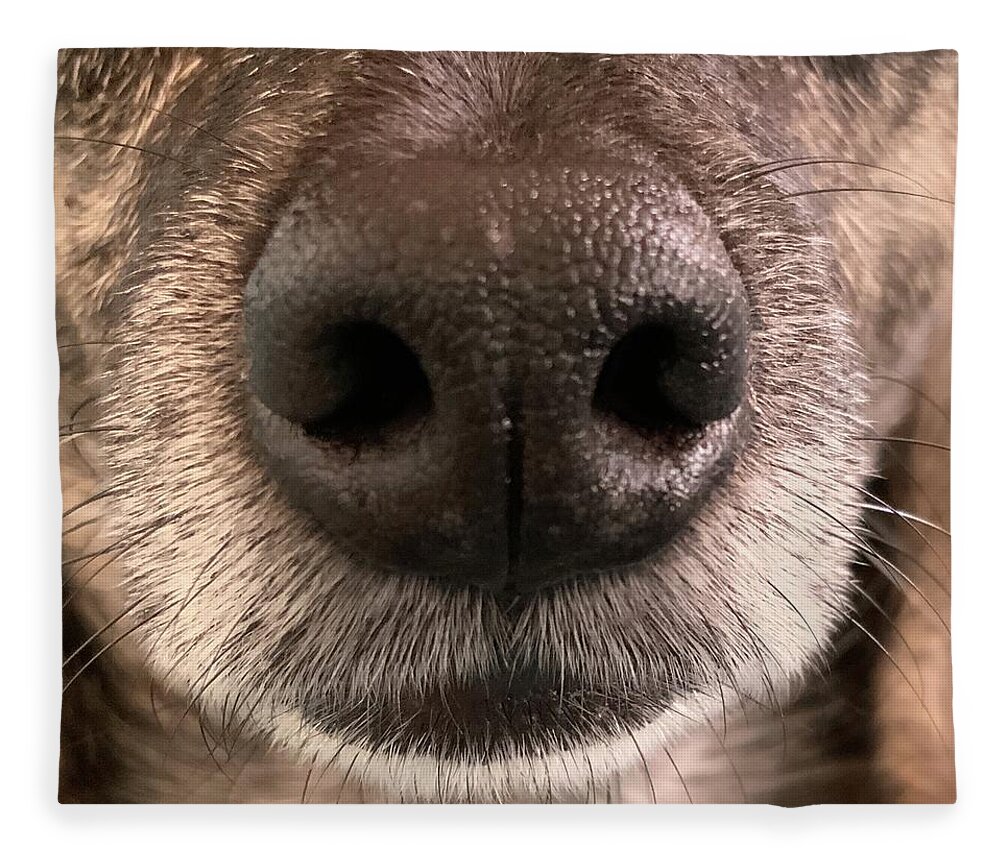 Wolf Nose Closeup Fleece Blanket by Pupcorn Pop - Pixels
