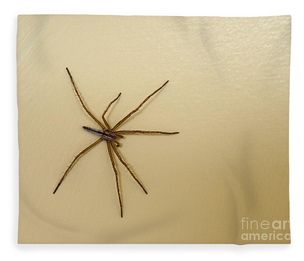 Spider Fleece Blanket featuring the photograph Wolf Spider by Kae Cheatham