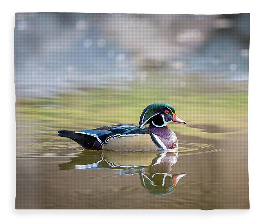 Wood Duck Fleece Blanket featuring the photograph Wood duck 1 by Stephen Holst