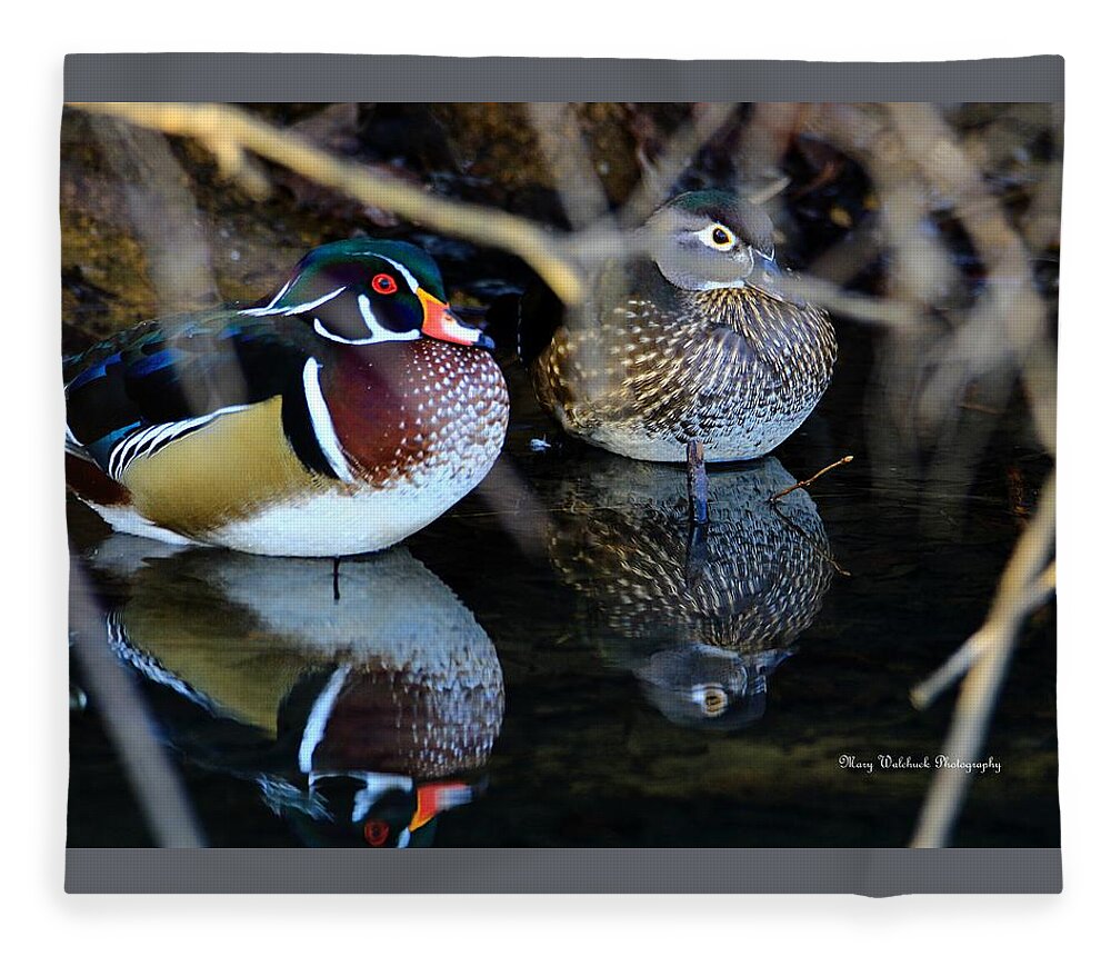 Wood Duck Fleece Blanket featuring the photograph Wood Duck Pair by Mary Walchuck