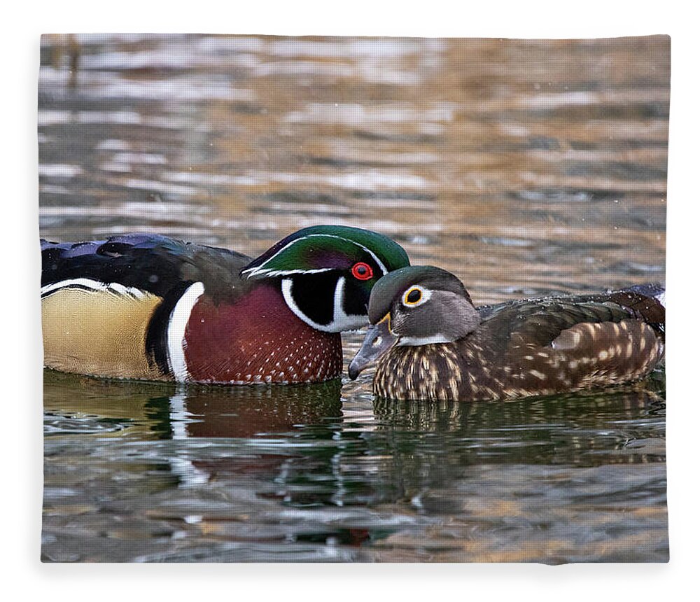 Wood Ducks Fleece Blanket featuring the photograph Wood Duck Pair by Wesley Aston