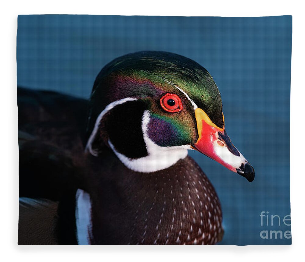 Aix Sponsa Fleece Blanket featuring the photograph Wood Duck's Colors by Maresa Pryor-Luzier