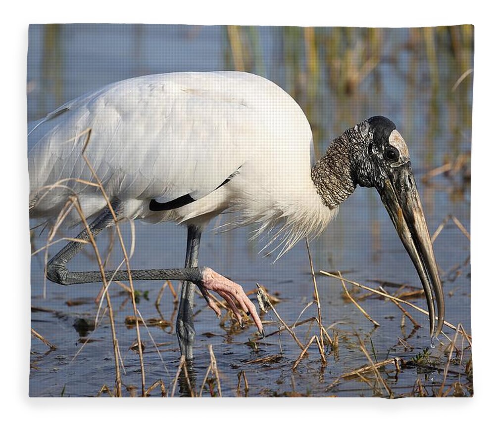 Wood Storks Fleece Blanket featuring the photograph Wood stork by Mingming Jiang