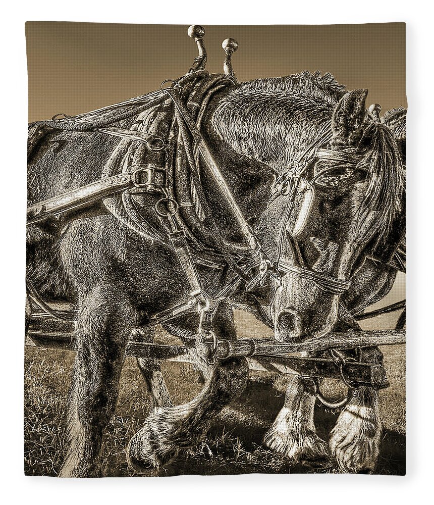 Horse Fleece Blanket featuring the photograph Working Draft Horse, Sepia by Don Schimmel