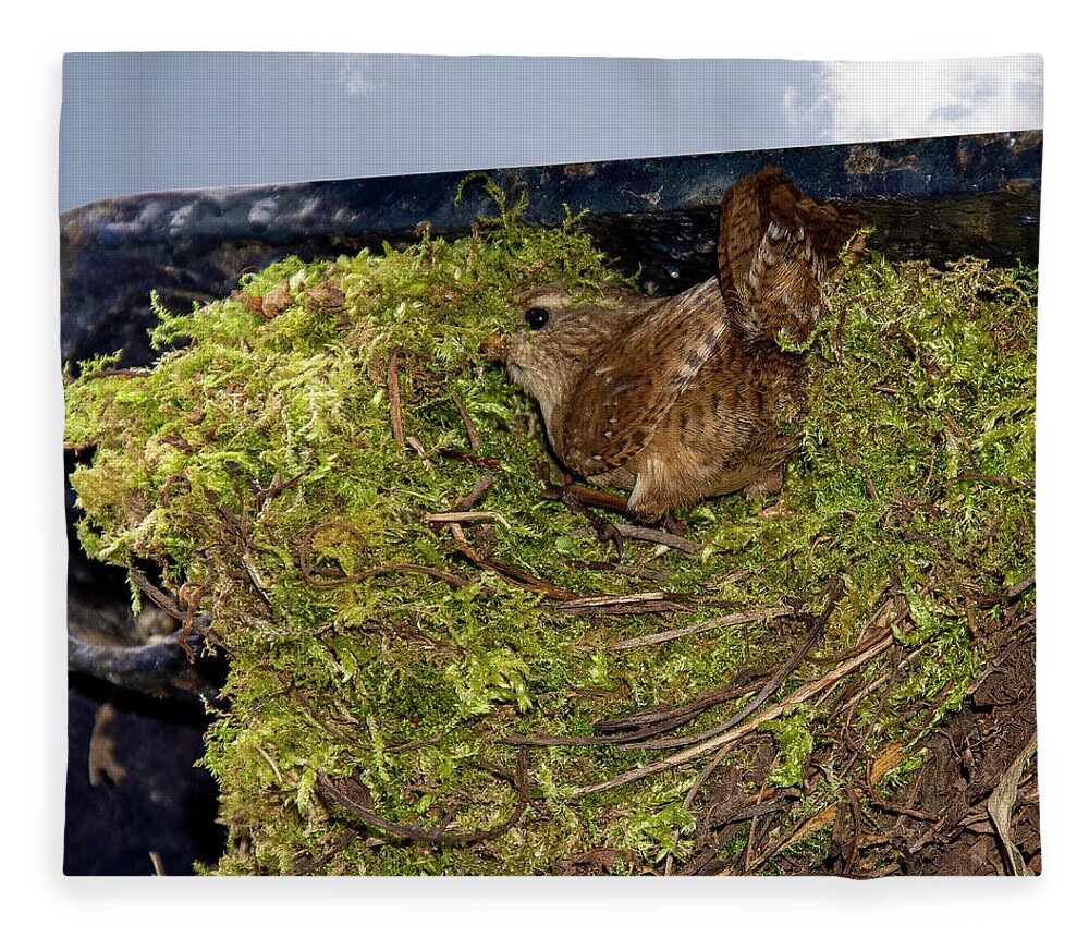 Wren Fleece Blanket featuring the photograph Wren nest building by Steev Stamford