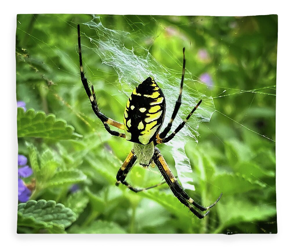 Spider Fleece Blanket featuring the photograph Writing Spider Writing by Lois Bryan