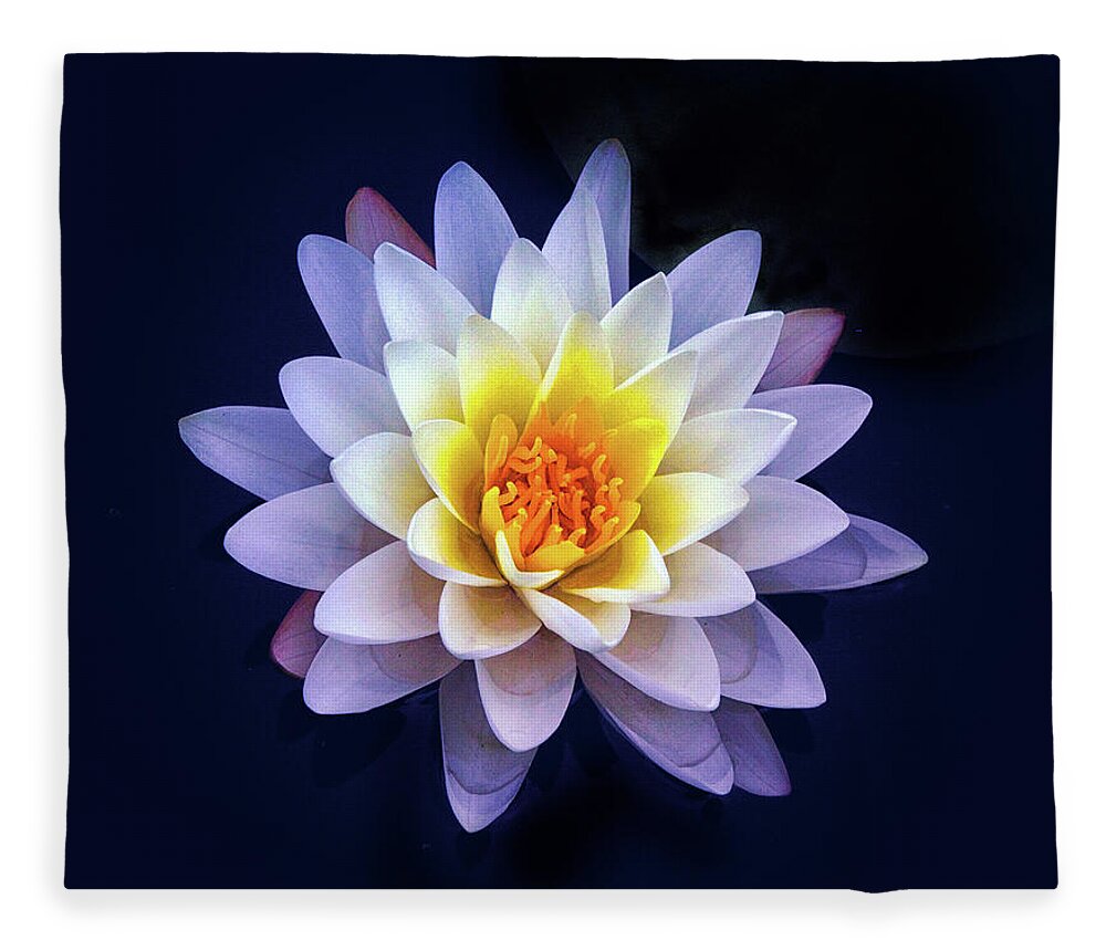 Lily Fleece Blanket featuring the photograph Water Lily Delight by Jessica Jenney